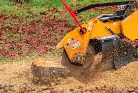 Best Tree Mulching  in Fort Washington, PA