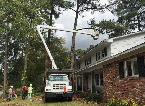 Best Commercial Tree Services  in Fort Washington, PA